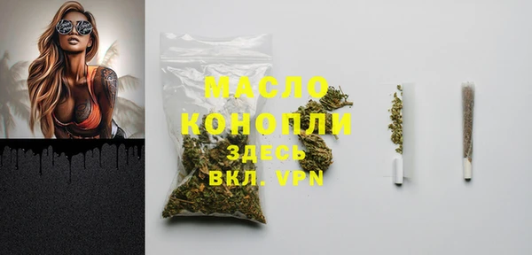 мдпв Каменка