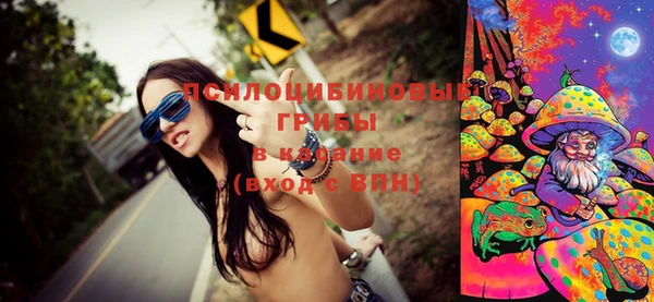 прущие крисы Инта