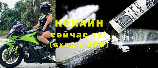 мдпв Каменка