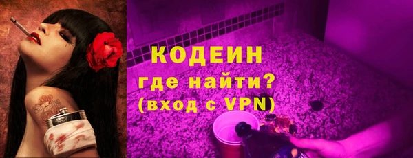 мдпв Каменка