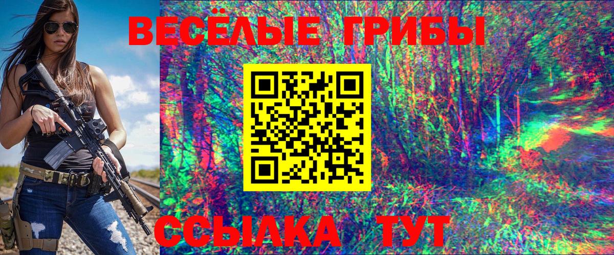 наркотики  Вход с VPN  Кондопога  Псилоцибиновые грибы мухоморы 