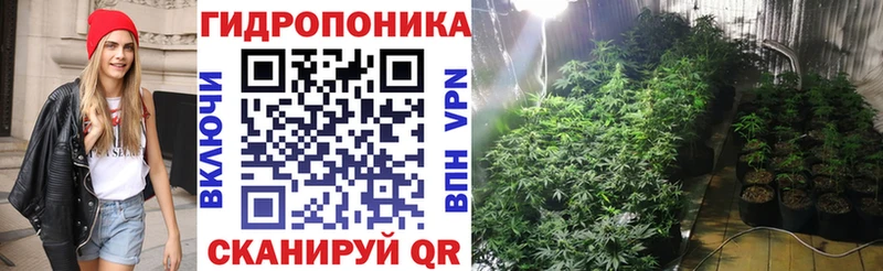Шишки марихуана MAZAR  Кондопога 